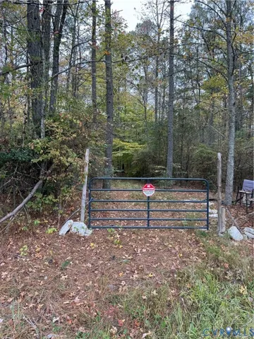 a view of park with trees