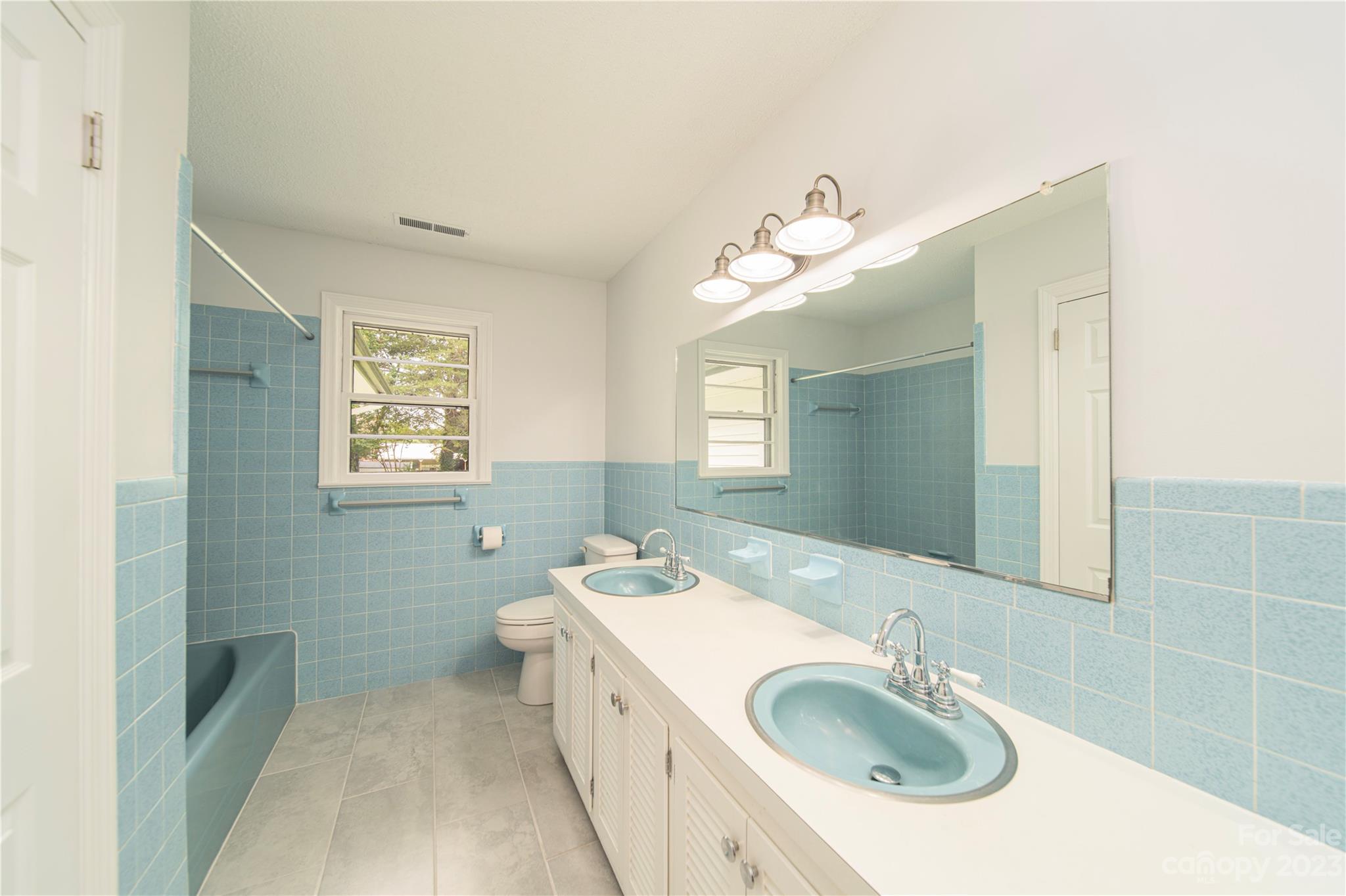 1253 Rainbow Road Advance, NC 27006 - Photo 31 of 46 a bathroom with a sink a toilet and mirror