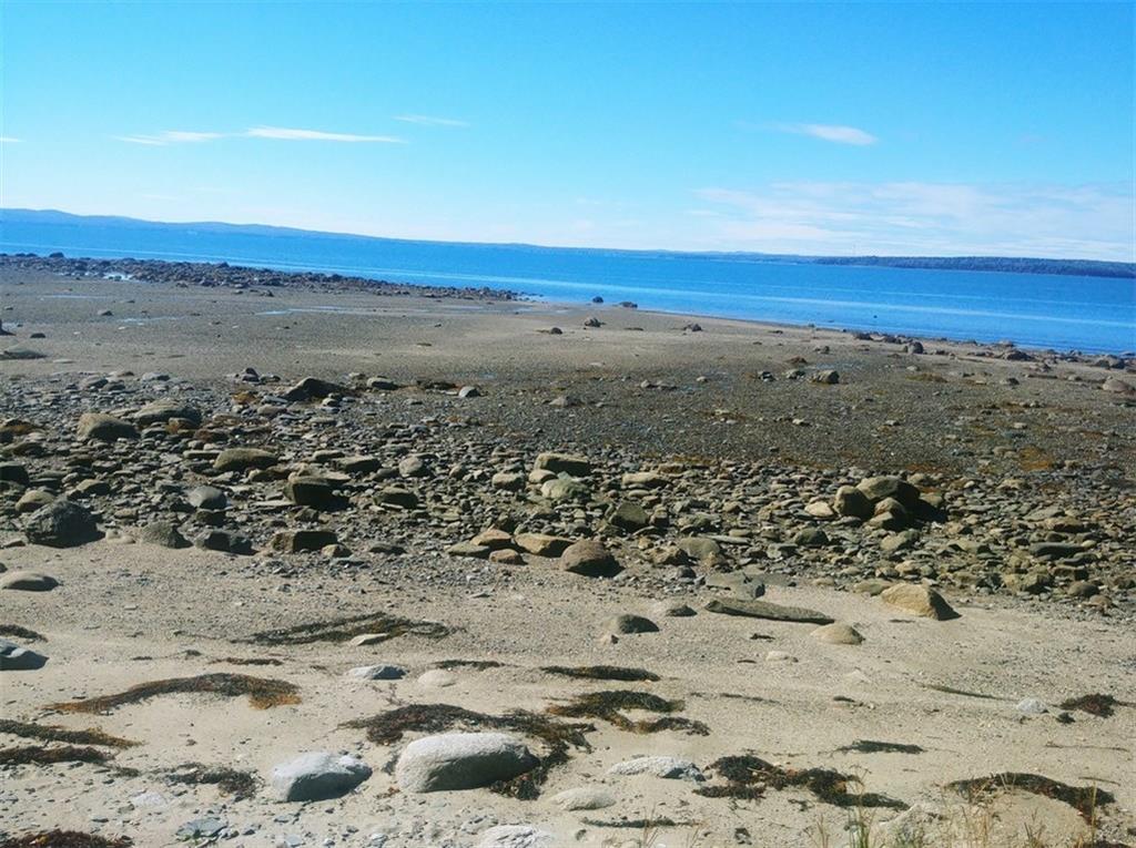 184 The Shore Road Castine, ME 04421 - Photo 6 of 31 Photo