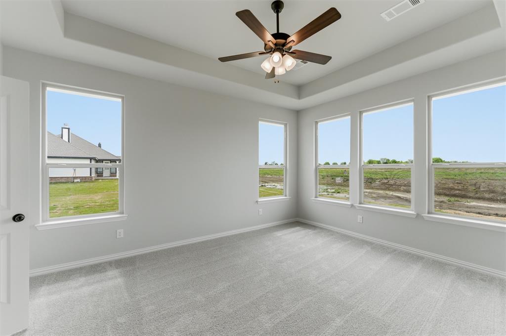 8911 County Road 623 Blue Ridge, TX 75424 - Photo 20 of 28 Spare room with a raised ceiling, a ceiling fan, and light colored carpet
