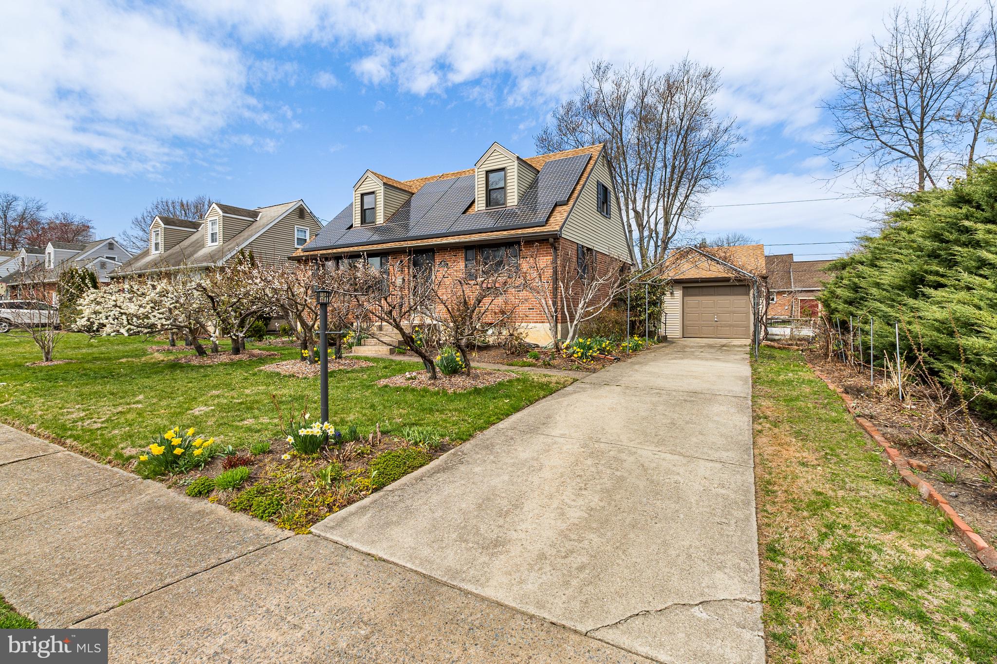107 Devonshire Road Wilmington, DE 19803 - Photo 2 of 30 Edible Asian Pear, Plum, Apricot & Peach Trees