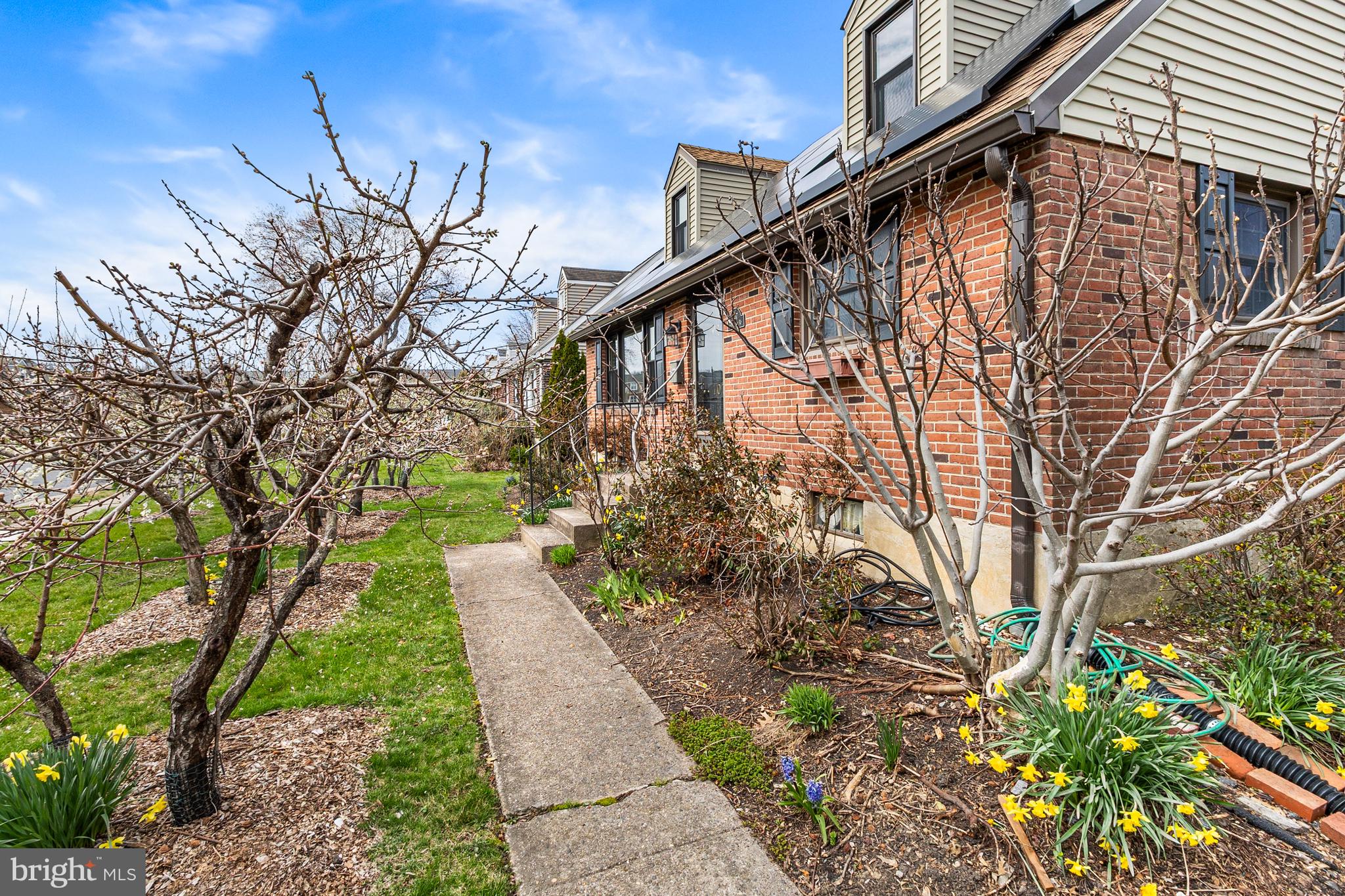 107 Devonshire Road Wilmington, DE 19803 - Photo 3 of 30 Beautiful Edible Fig Trees