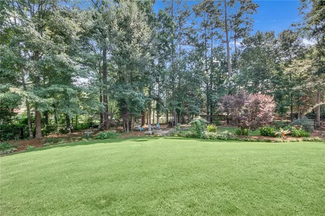 a view of a park with large trees