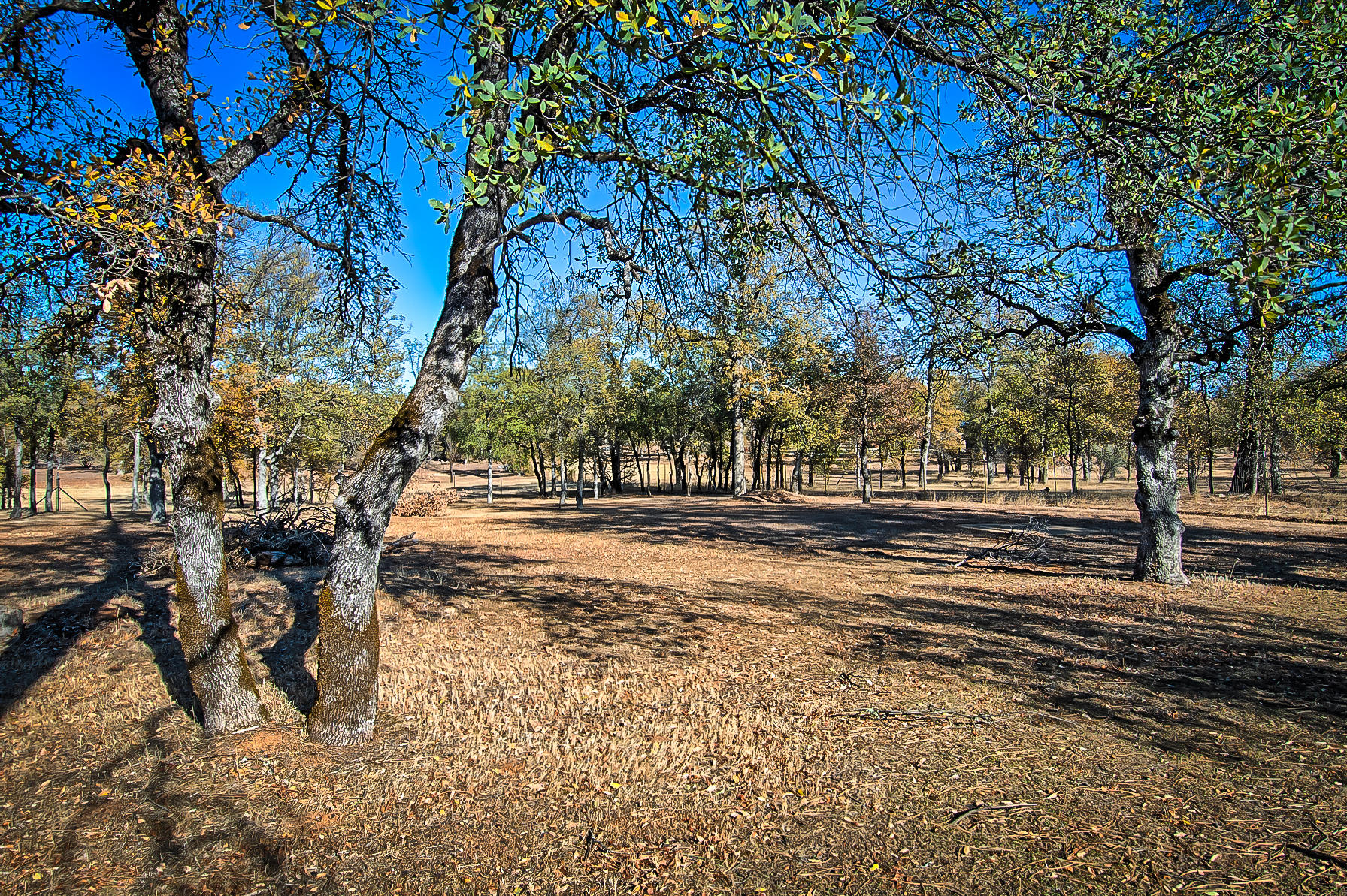 20773 Old Alturas Road Redding, CA 96003 - Photo 70 of 83 Property