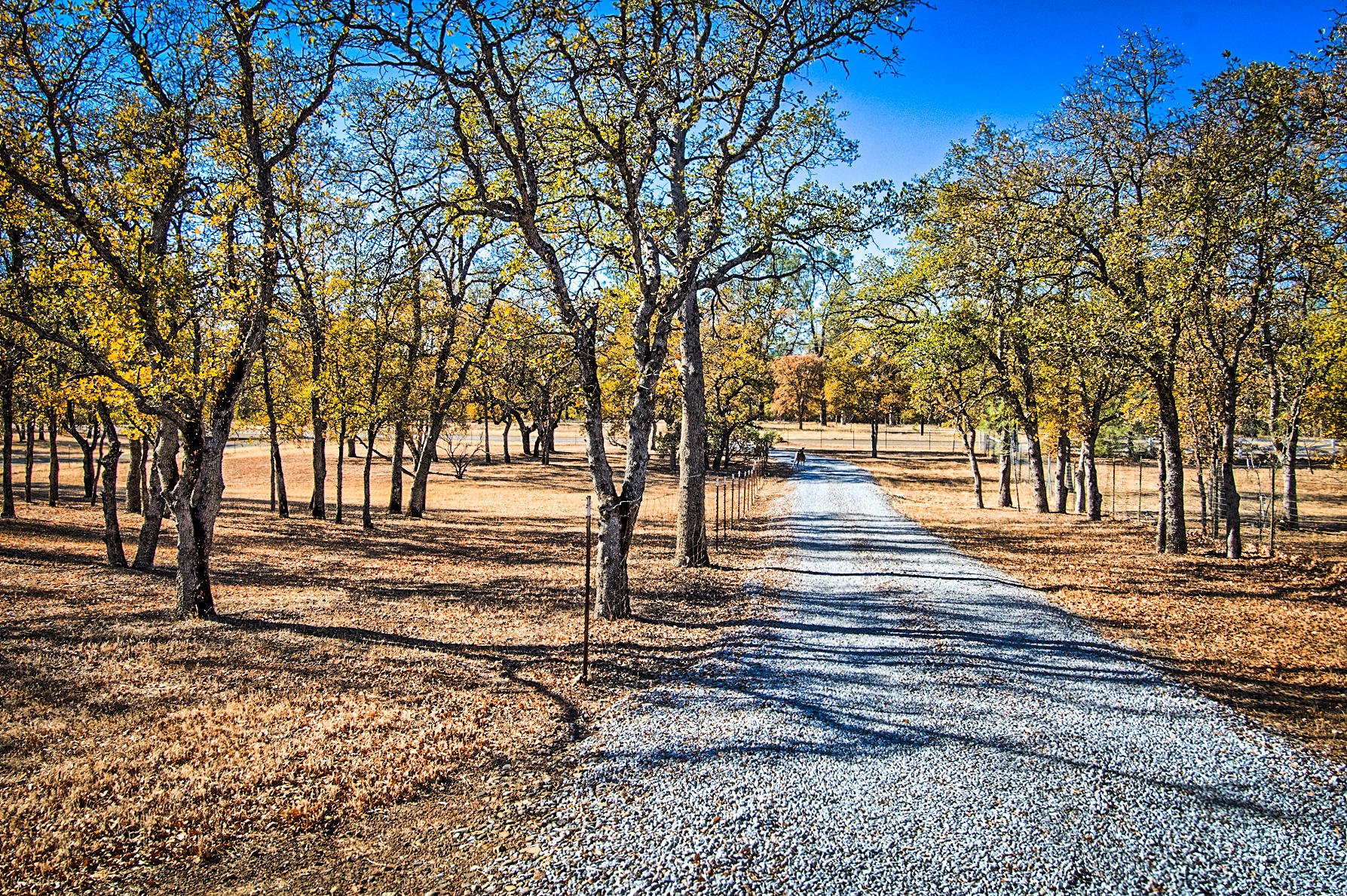 20773 Old Alturas Road Redding, CA 96003 - Photo 72 of 83 Driveway