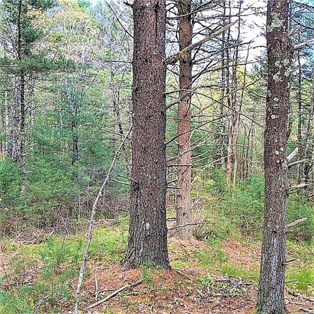 0 Prospect Road Plympton, MA 02367 - Photo 1 of 14 Gallery Image 1
