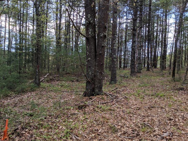 0 Prospect Road Plympton, MA 02367 - Photo 13 of 14 Gallery Image 13