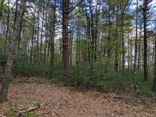 0 Prospect Road Plympton, MA 02367 - Photo 14 of 14 Gallery Image 14