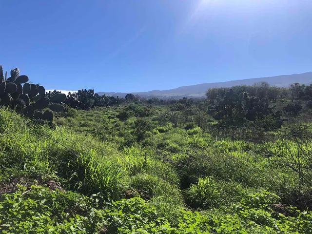 $12,000,000 | 0 Kula Highway, Kula, HI 96790