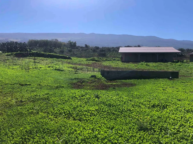 $12,000,000 | 0 Kula Highway, Kula, HI 96790