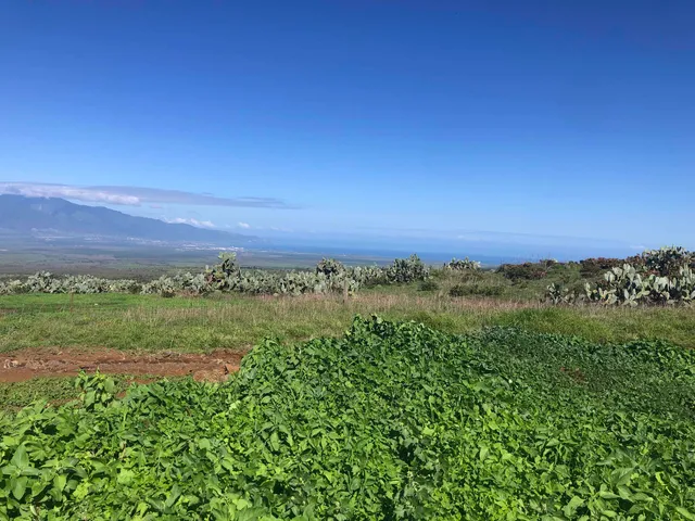 $12,000,000 | 0 Kula Highway, Kula, HI 96790