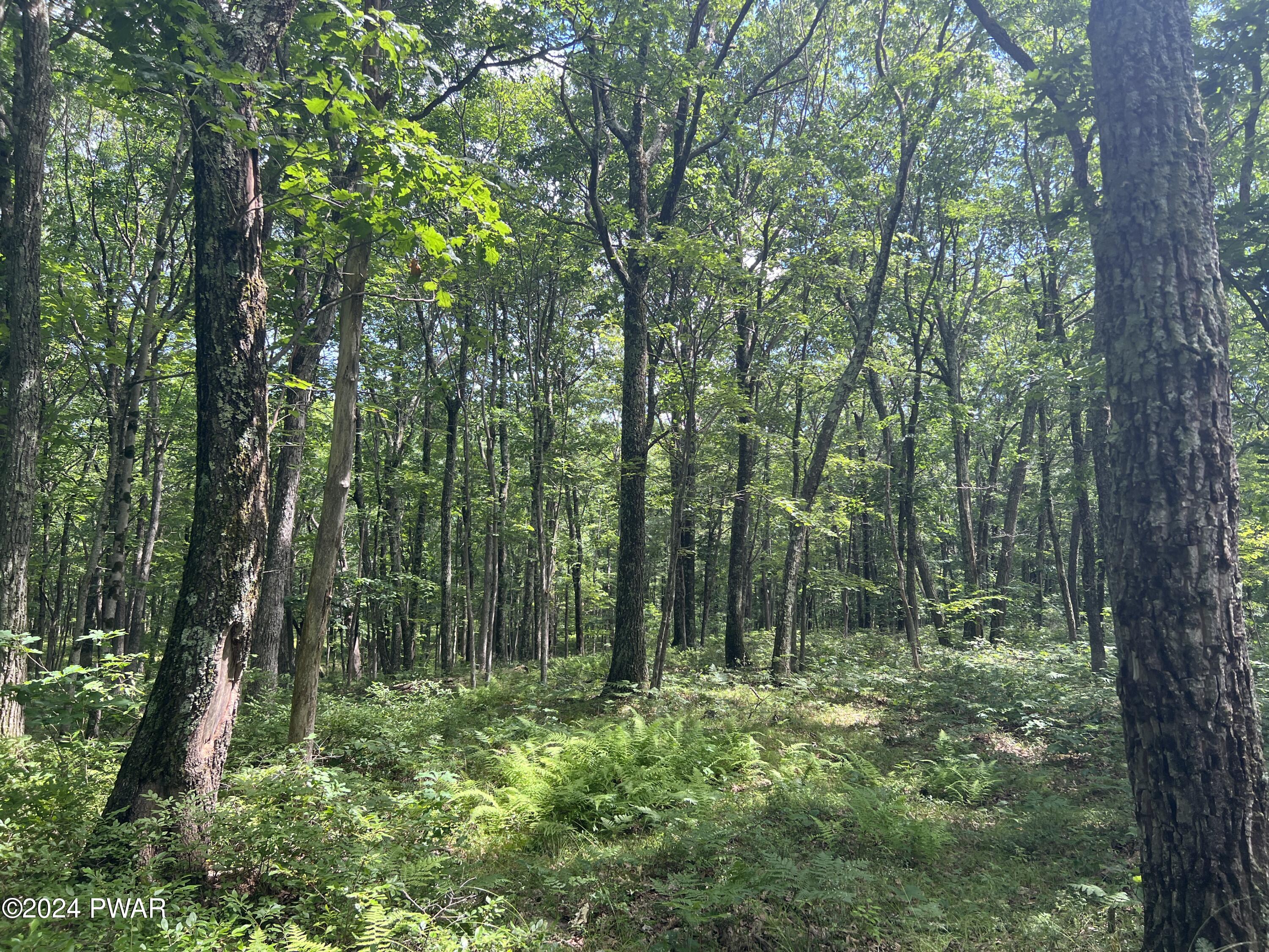 Bloss Road Canadensis, PA 18325 - Photo 18 of 21 Driveway Access