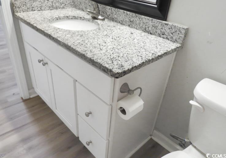 204 Rosedale Drive Aynor, SC 29511 - Photo 21 of 23 Bathroom featuring vanity and wood finished floors