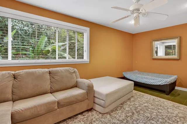 a close up of a plant in a pot