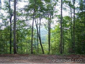 10 Sweetwater Ridge Road, Unit 10 Balsam Grove, NC 28708 - Photo 1 of 1 Gallery Image 1