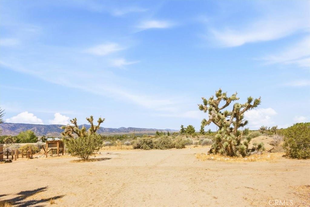 1397 Sierra Road Pinon Hills, CA 92372 - Photo 6 of 49