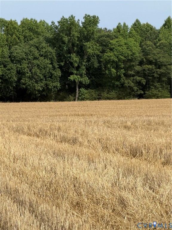 9380 Wakefield Road Wakefield, VA 23888 - Photo 11 of 11 Cultivated field with natural tree line