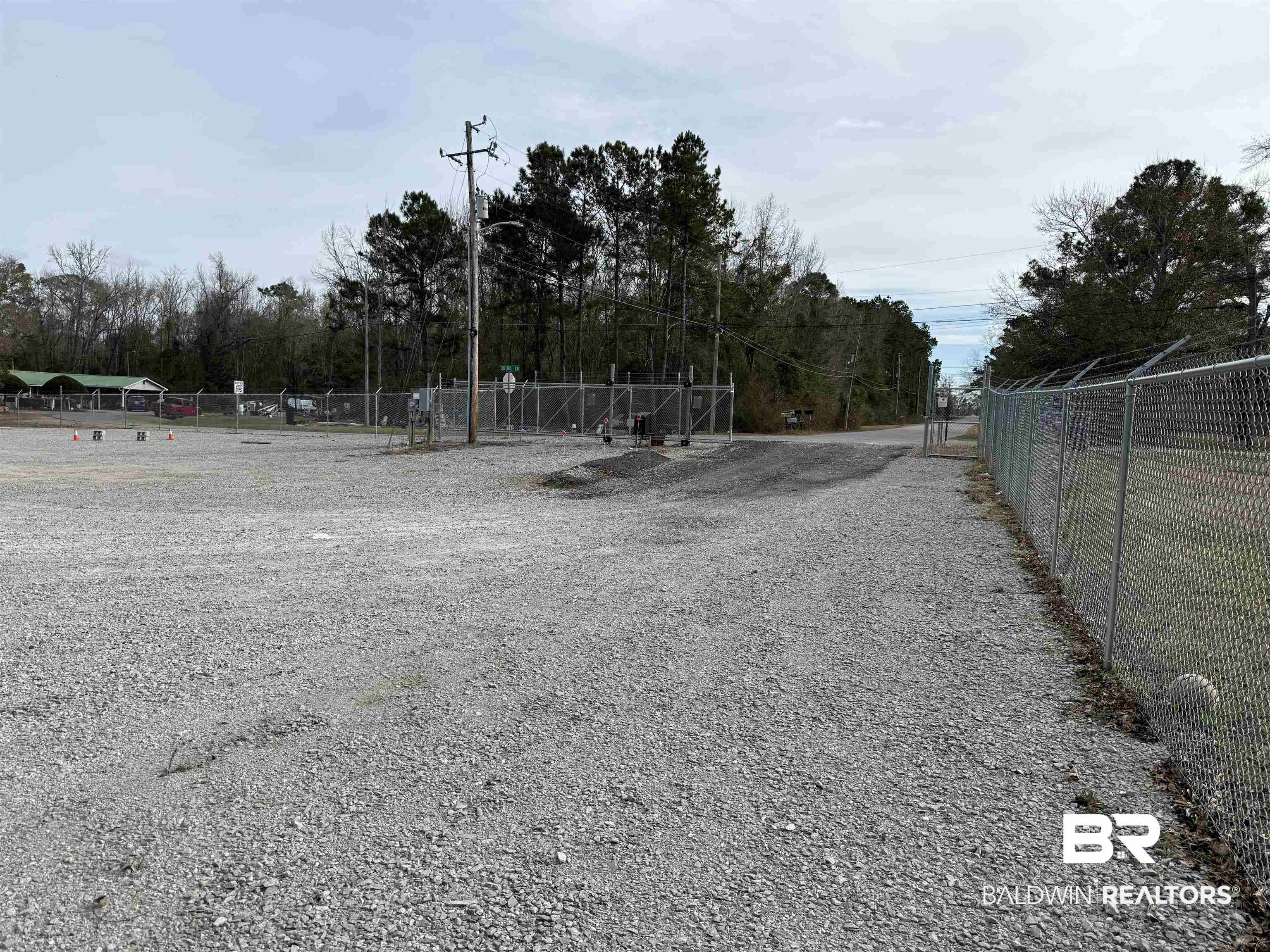 31420 Jessie Road Daphne, AL 36527 - Photo 16 of 23 View of yard