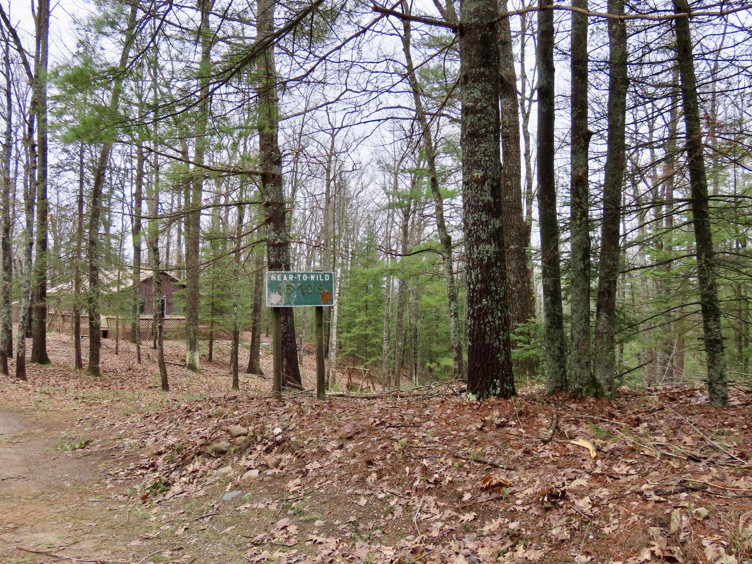 15709 Pleasant Valley Road Atlanta, MI 49709 - Photo 10 of 65 entrance