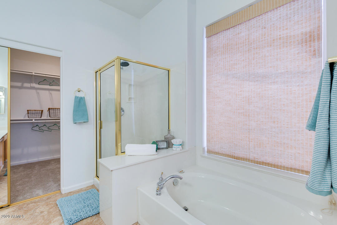 84 East Smoke Tree Road Gilbert, AZ 85296 - Photo 13 of 45 Master soaking tub