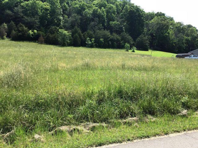3-4 Little Chuckey Road, Unit 34 Mosheim, TN 37818 - Photo 7 of 8 Little Chuckey Rd Lots 122221 4