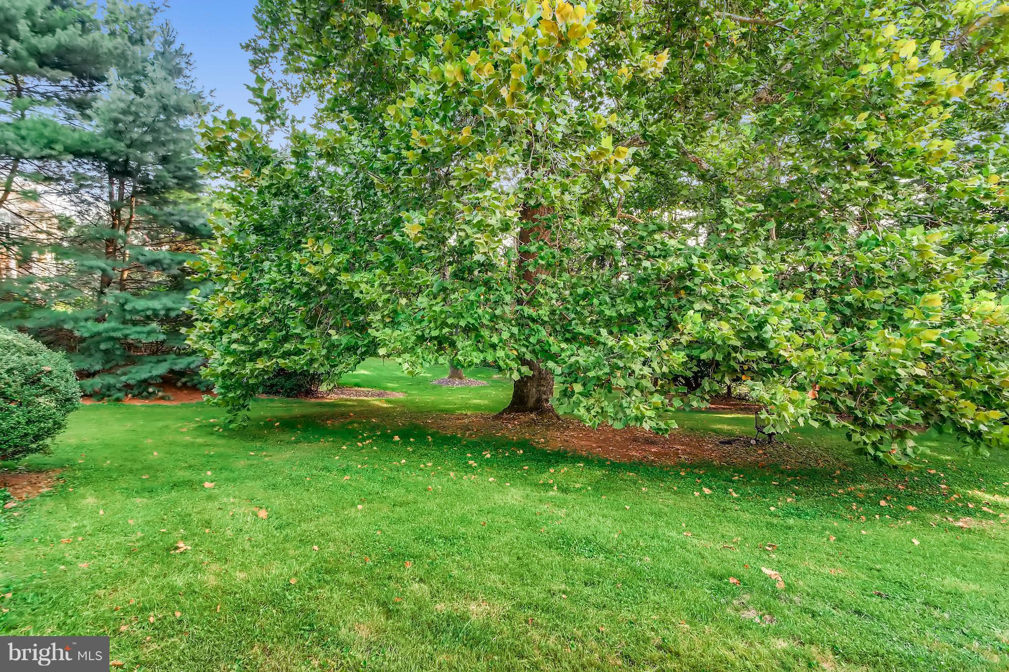 7835 Ellenham Road Baltimore, MD 21204 - Photo 20 of 22 Mature landscaping.