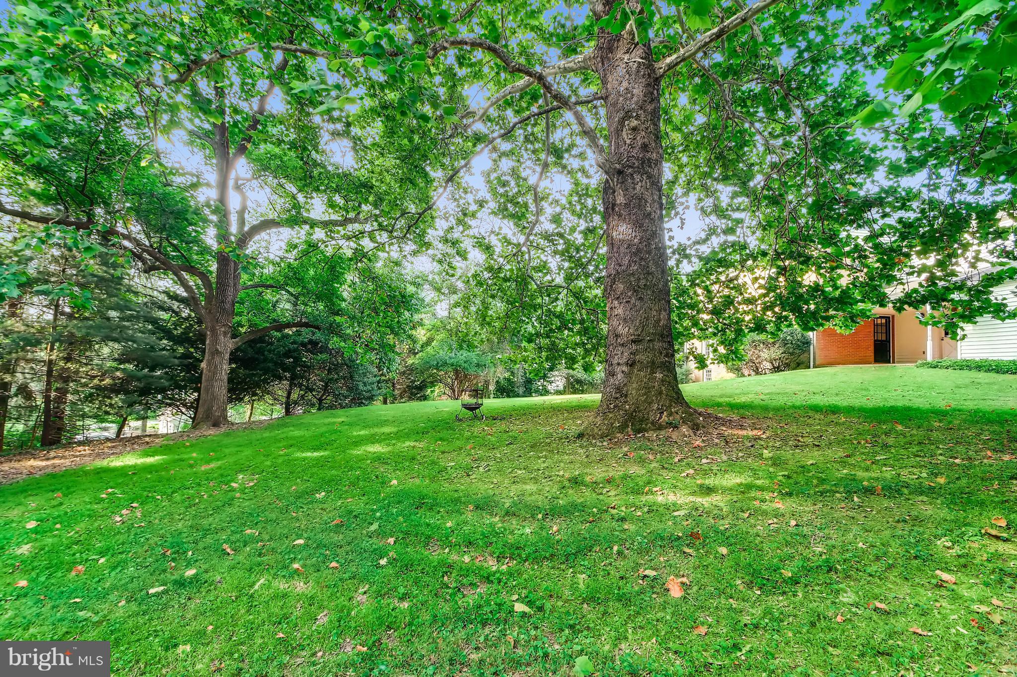 7835 Ellenham Road Baltimore, MD 21204 - Photo 21 of 22 Generous back lot with great potential.
