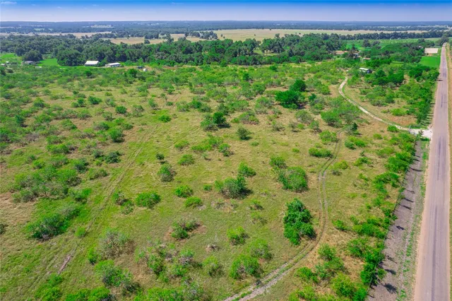 a view of a lush green forest with trees and some houses