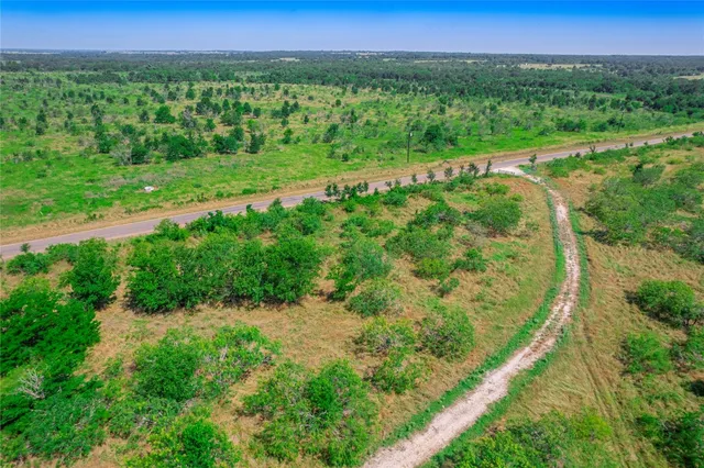 a view of a garden with a building in the background