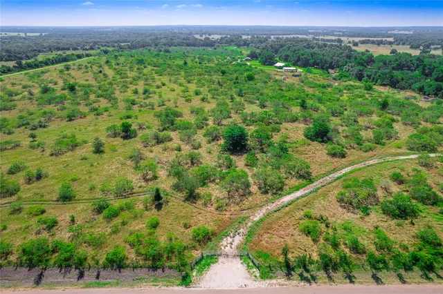 a view of a city with lush green forest