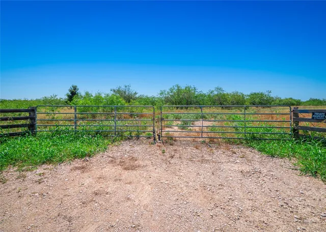 a view of road with grass and a trees