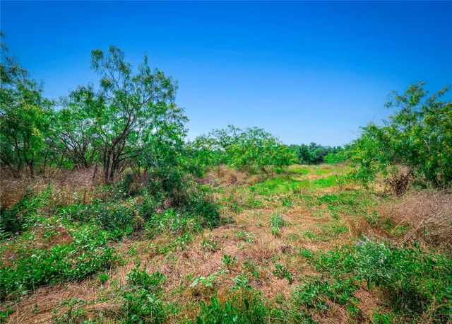 a view of a lake view with a garden
