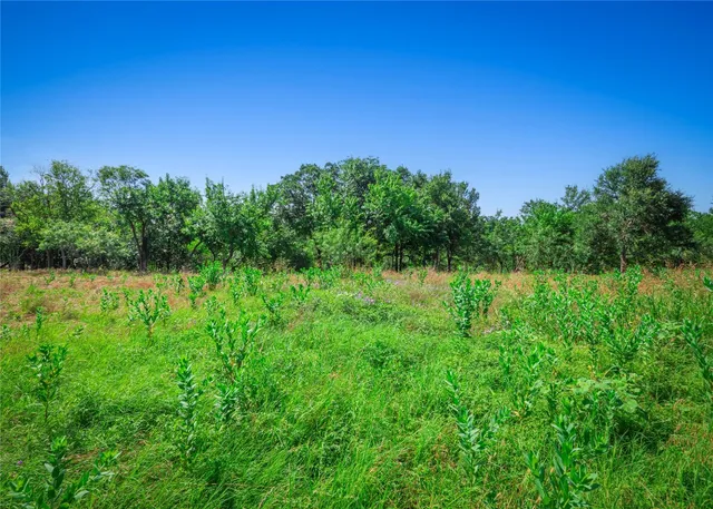 $550,000 | 1435 County Road 429, Rockdale, TX 76567