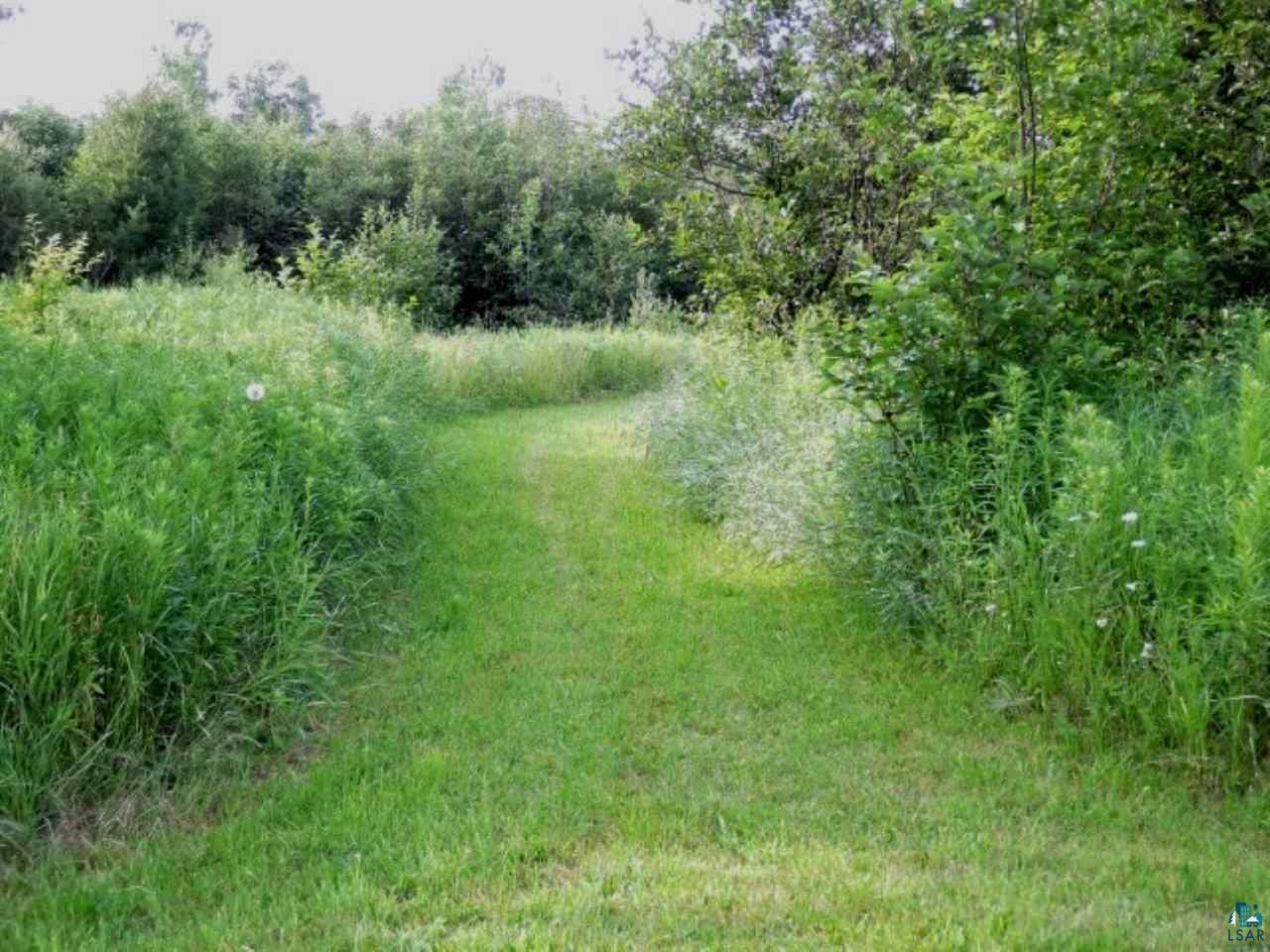 65539 Adler Road Marengo, WI 54855 - Photo 6 of 38 Groomed trails