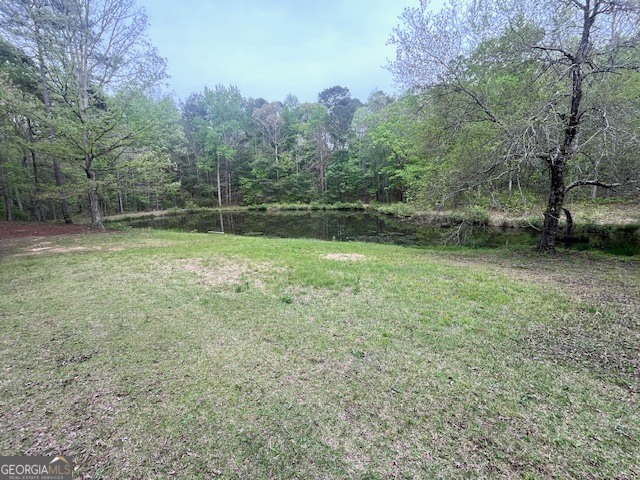555 Highway 3 North Hampton, GA 30228 - Photo 11 of 18 a view of a field with trees in the background
