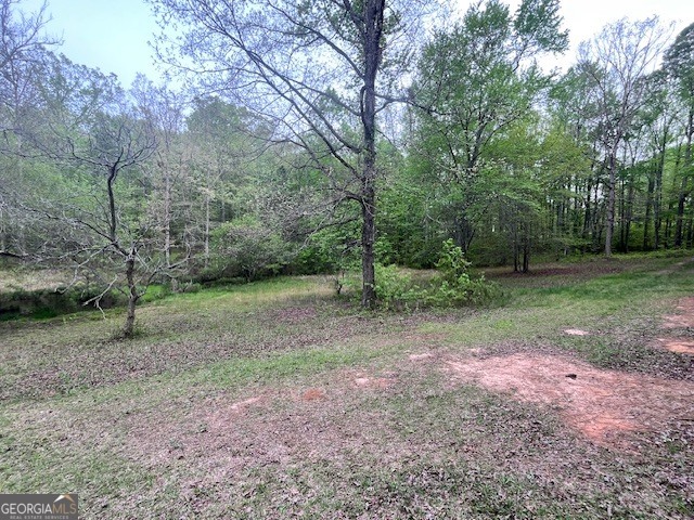 555 Highway 3 North Hampton, GA 30228 - Photo 12 of 18 a view of a yard with trees in the background