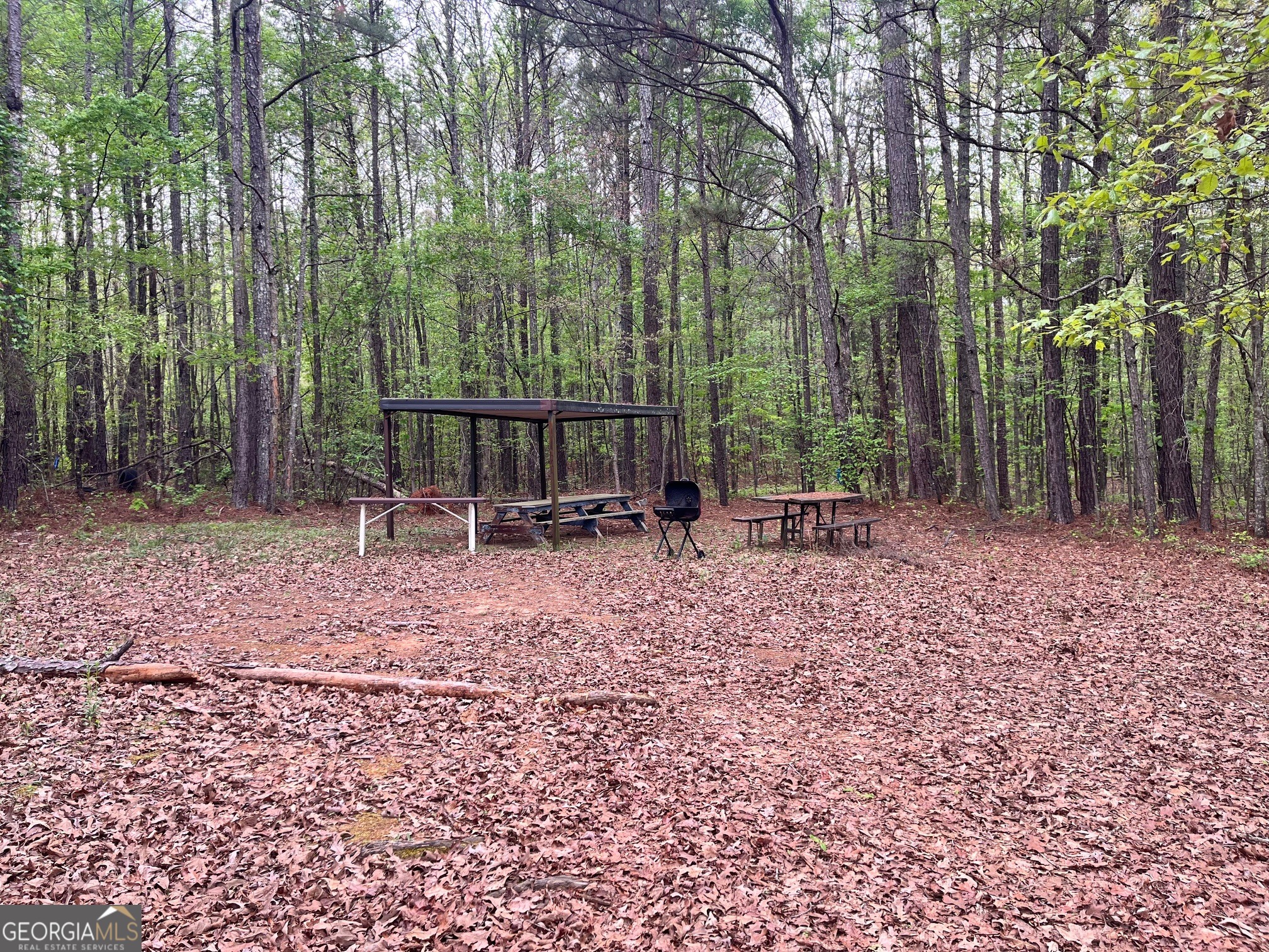 555 Highway 3 North Hampton, GA 30228 - Photo 14 of 18 a backyard of a house with lots of green space