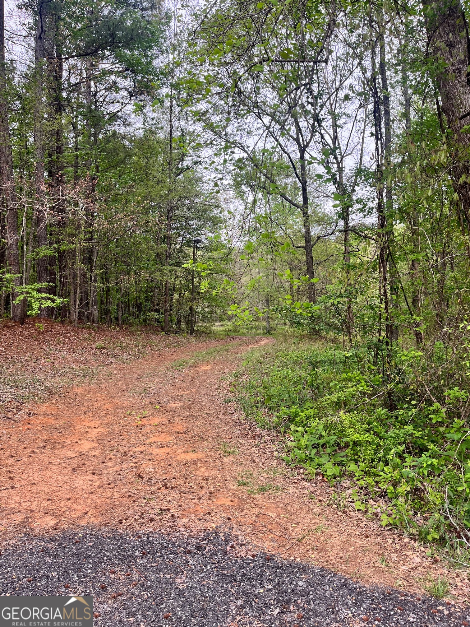 555 Highway 3 North Hampton, GA 30228 - Photo 16 of 18 a view of a field with plants and trees