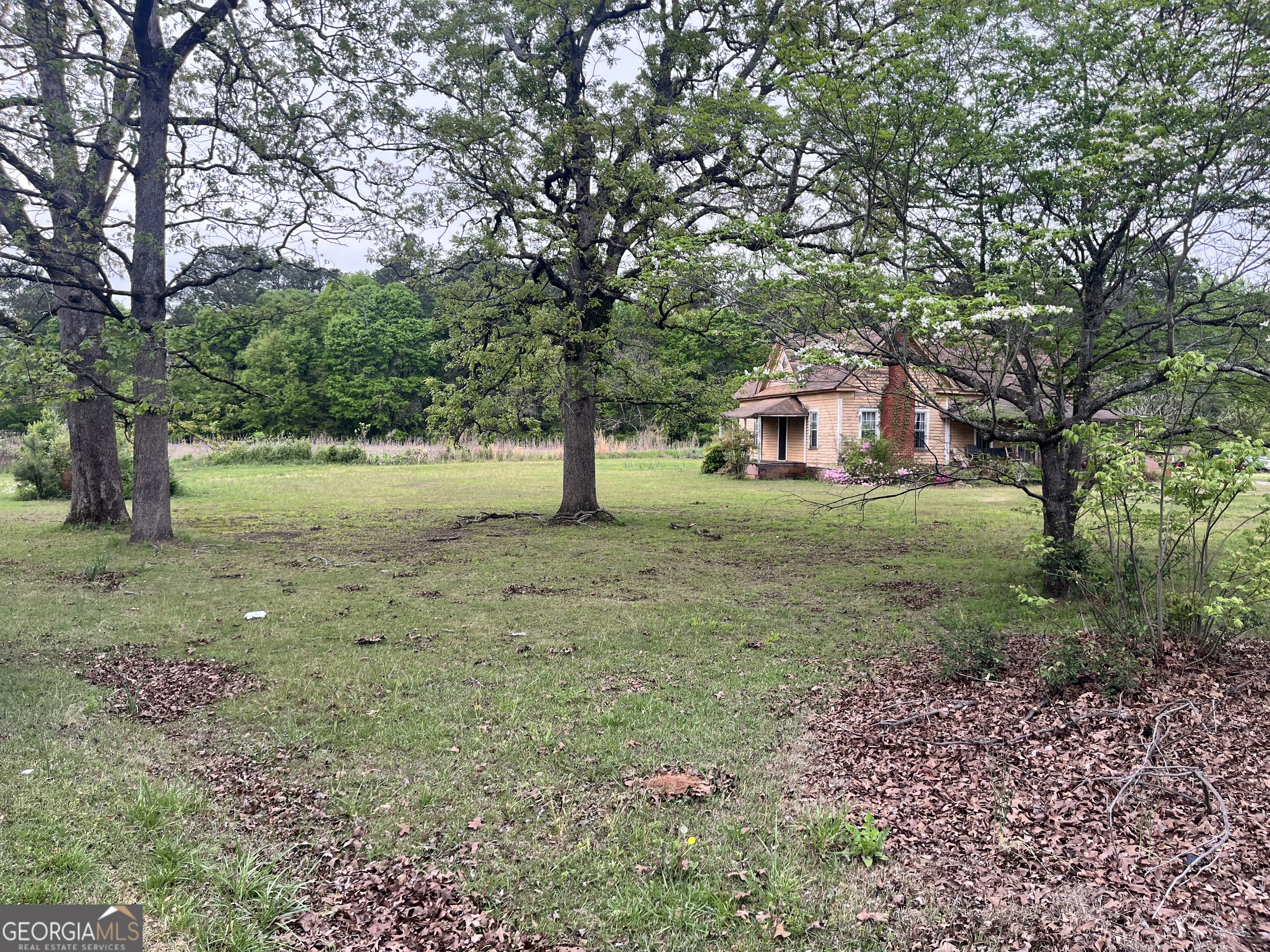 555 Highway 3 North Hampton, GA 30228 - Photo 18 of 18 a view of a big yard with large trees