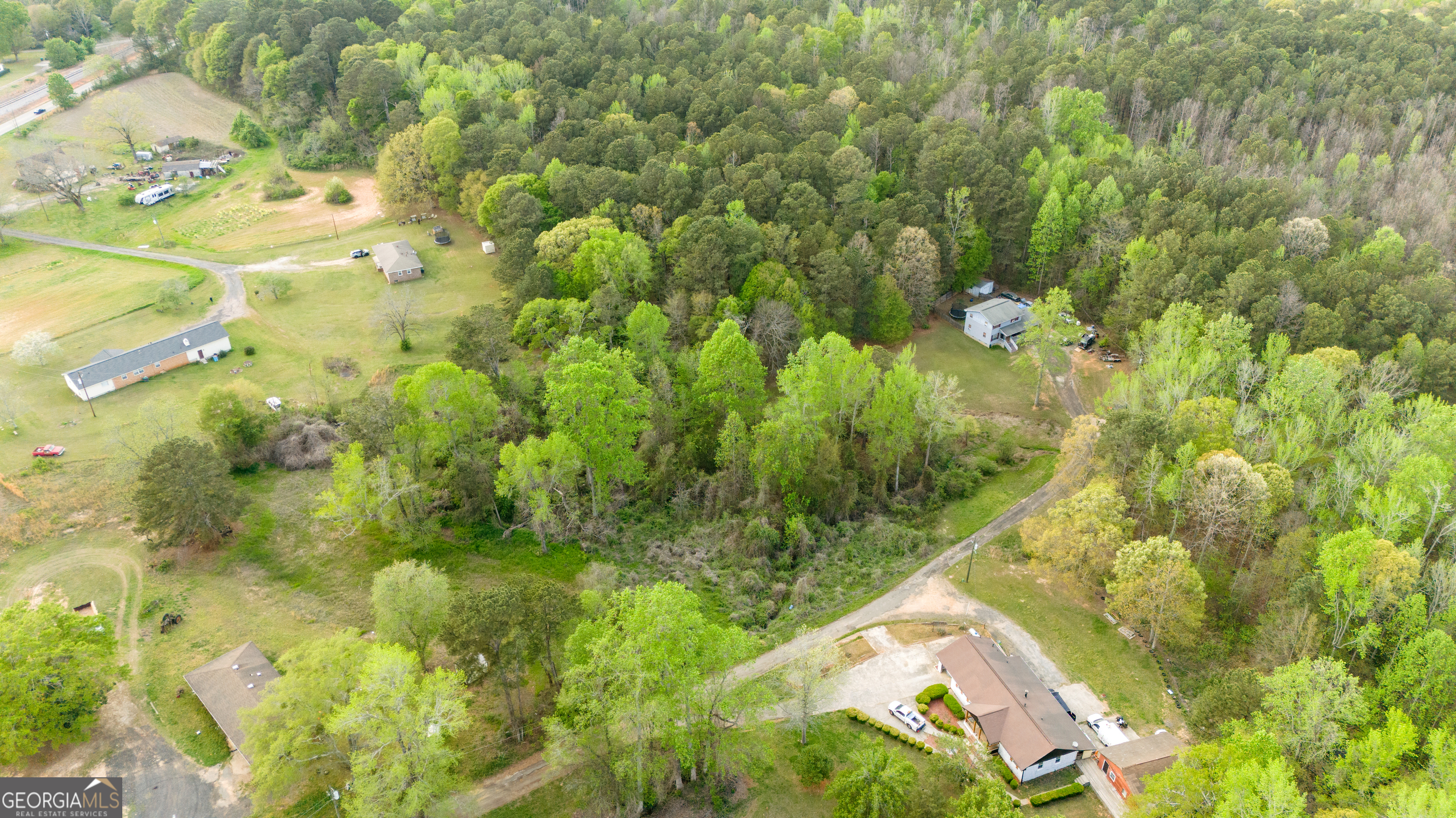 555 Highway 3 North Hampton, GA 30228 - Photo 7 of 18 a view of a yard with plants