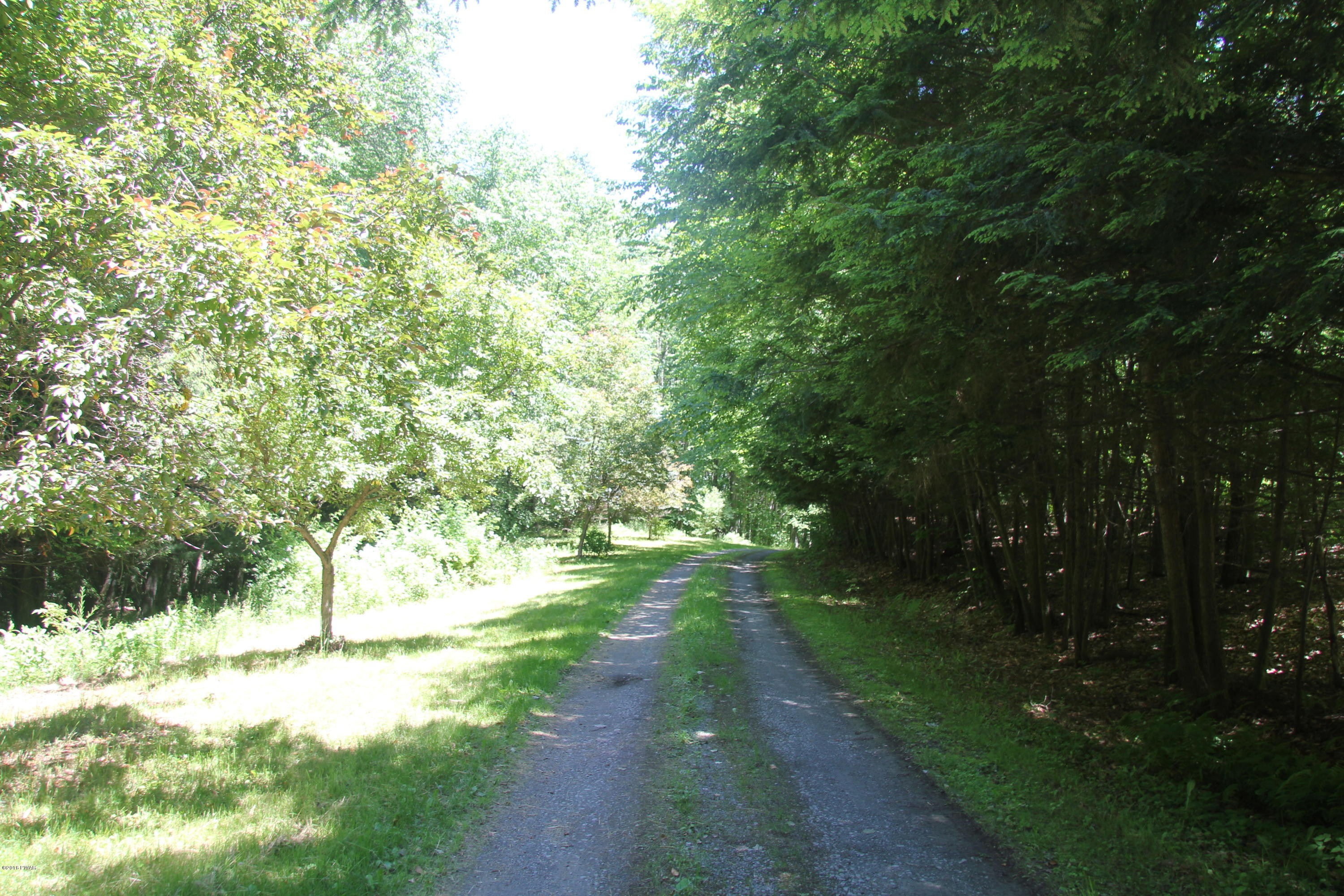 49 Balsam Swamp Road Prompton, PA 18456 - Photo 23 of 23 Private Drive