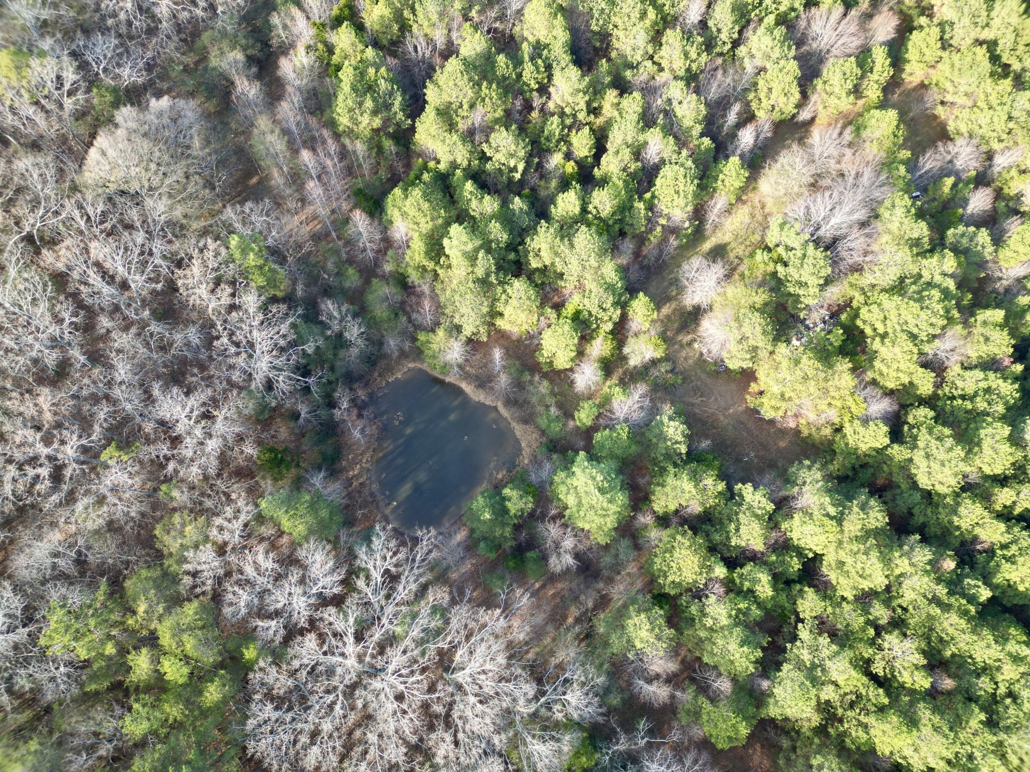 0 Kensington Road Chickamauga, GA 30707 - Photo 26 of 40 Gallery Image 26