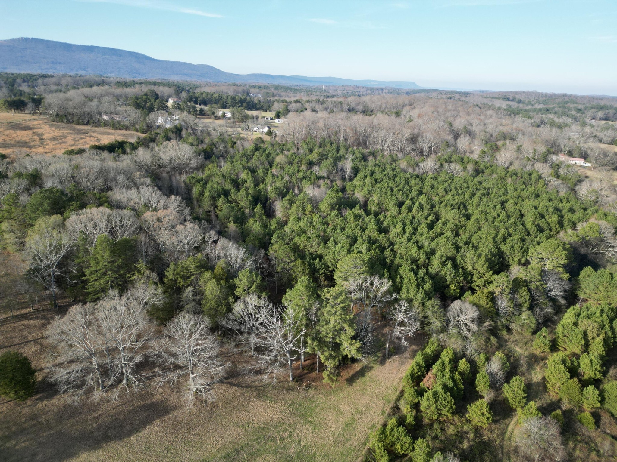 0 Kensington Road Chickamauga, GA 30707 - Photo 8 of 40 Gallery Image 8