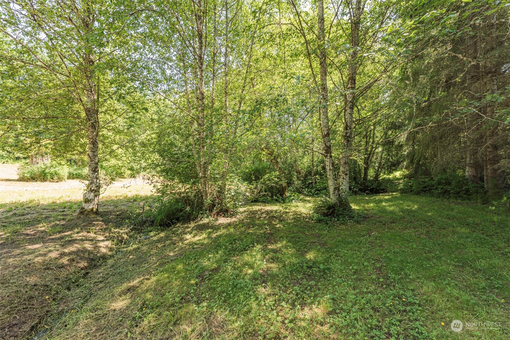42 Wasankari Road Port Angeles, WA 98363 - Photo 20 of 33 Gallery Image 20