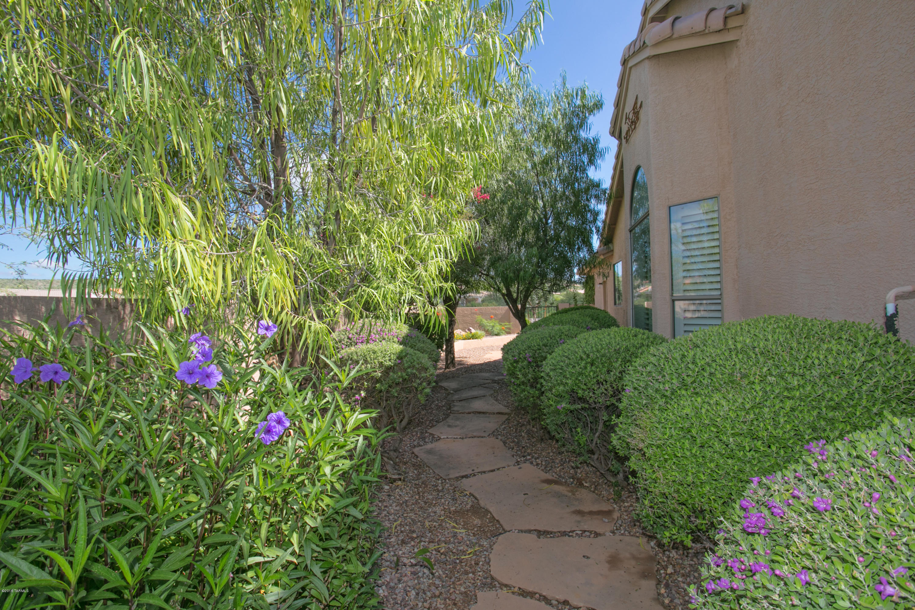 36854 South Ridgeview Boulevard Tucson, AZ 85739 - Photo 10 of 34