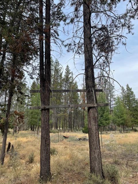7928 Reeve Road La Pine, OR 97739 - Photo 12 of 13 Perfect hunting property