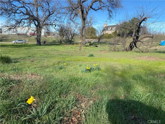 a view of a yard with a house in the background