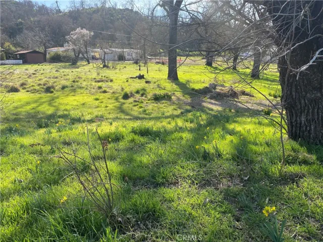 a swimming pool with trees in the background