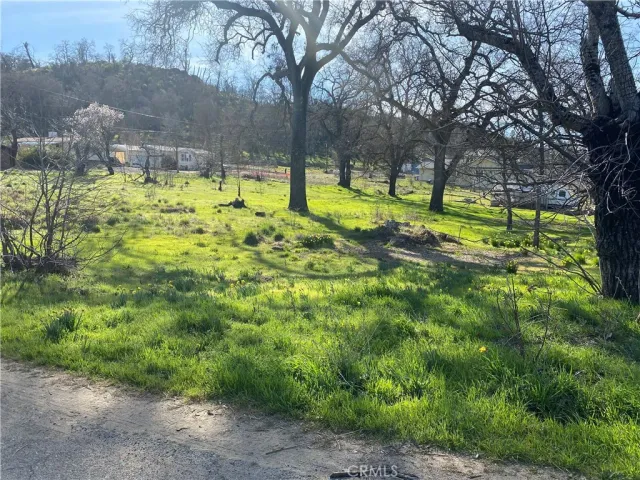 a view of swimming pool with a yard