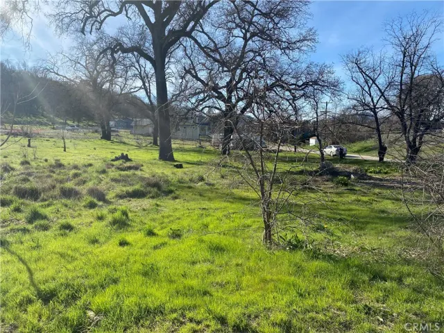 a view of swimming pool with a yard